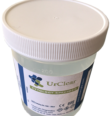 Bee (380x400), Png Download