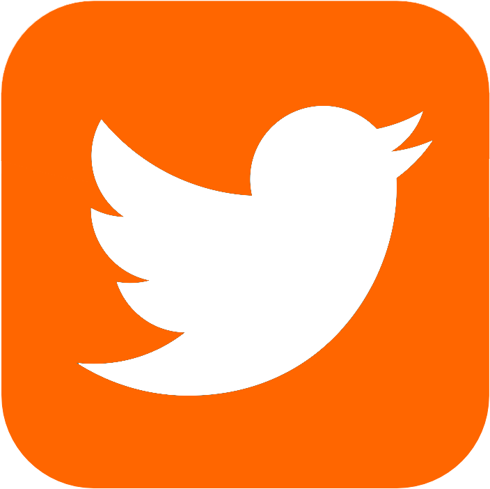 Twitter Logo Button - Twitter App Logo Transparent (800x800), Png Download