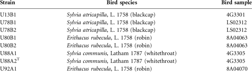 Strains Of W - White Blood Cell (850x244), Png Download