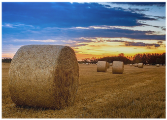 Hay (400x400), Png Download