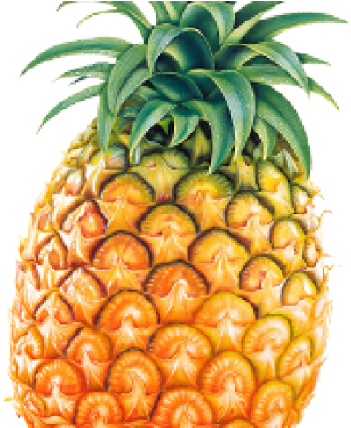 Pineapple Png Transparent Images - Pineapple Png (640x480), Png Download