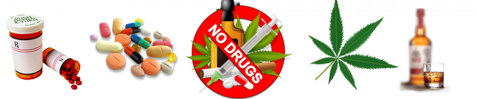 Exciting Things College Students Encounter - No Drugs And Alcohol Transparent (960x200), Png Download