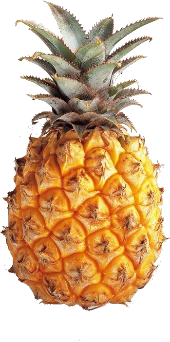 Pineapple Tumblr Theme Download Transparent Pineapple - Pineapple Transparents (487x750), Png Download