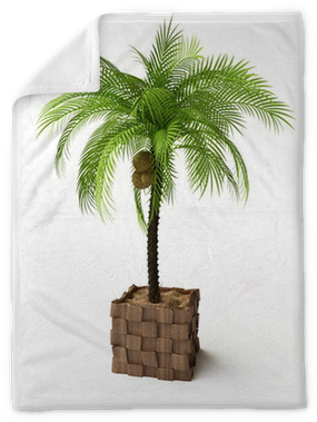 Palm Trees (400x400), Png Download