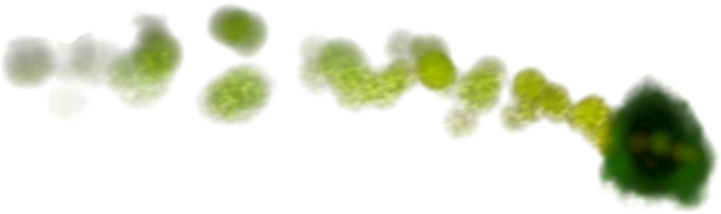 Filekbd Poison Fire Png Green Fire Png - Green Fire Gif Png (851x283), Png Download