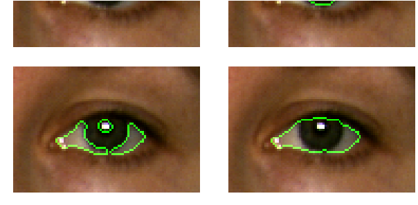 Eye Area From An Original Image - Iris (721x324), Png Download
