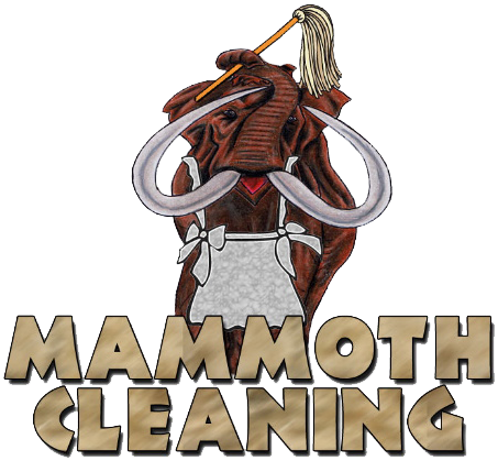 It Isn't Clean Until It's Mammoth Clean - Mammoth Lakes (480x422), Png Download