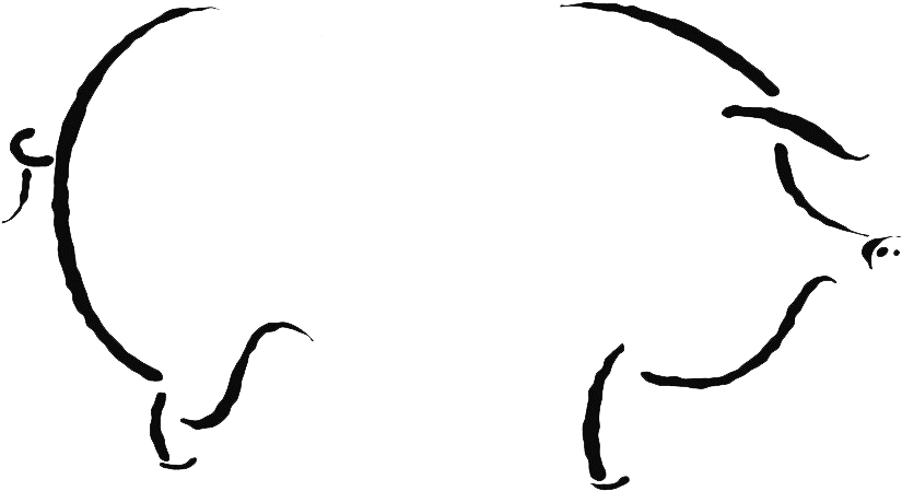 Pig Outine Transparent - Hog Roast No Background (900x510), Png Download
