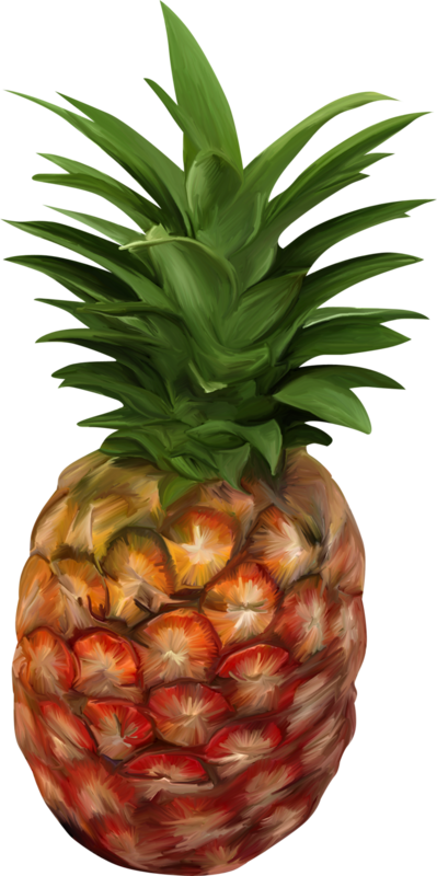 Pineapple Clipart Fruits And Vegetable - Pineapple Ananas (399x800), Png Download
