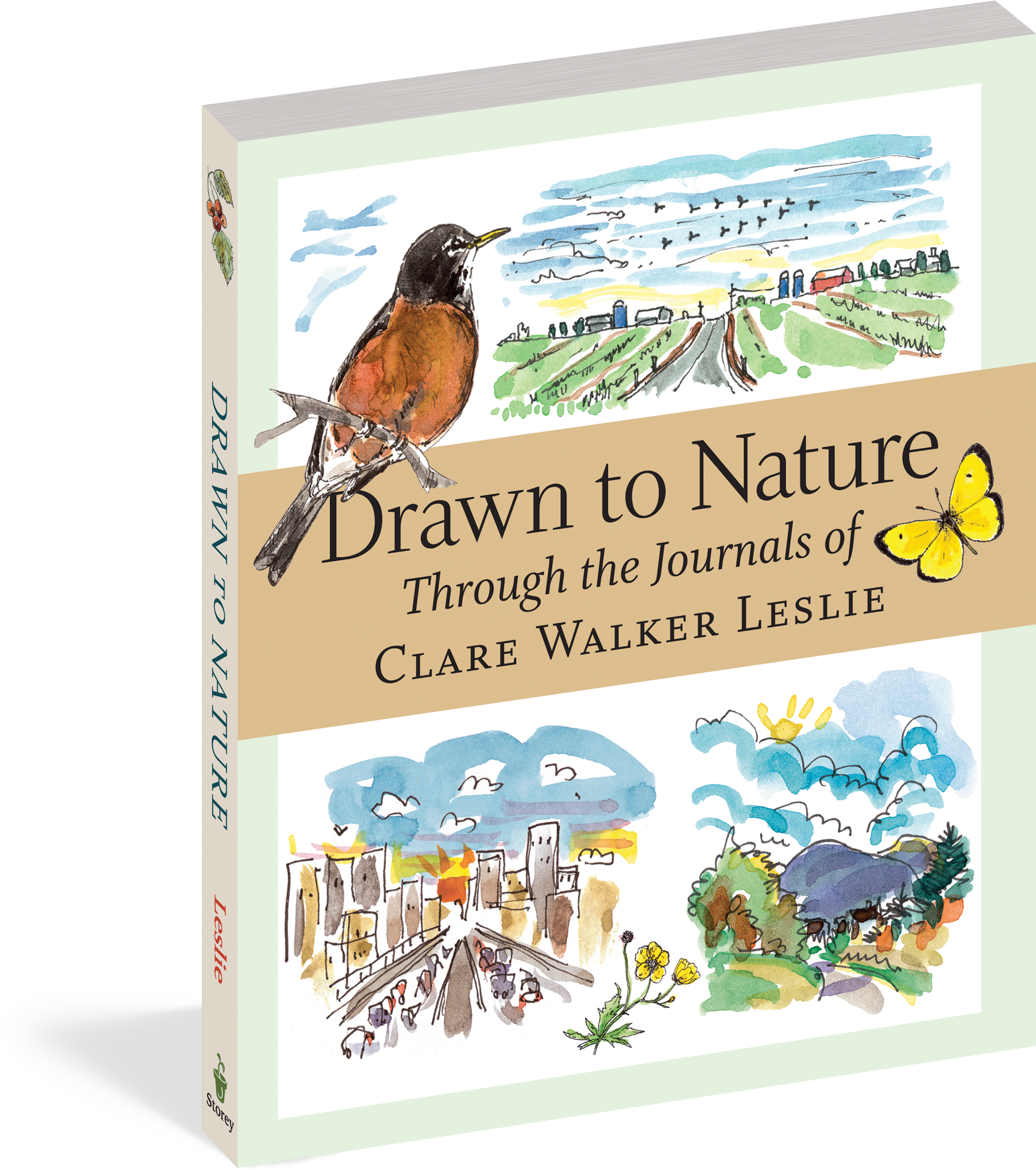 Cover - Drawn To Nature: Through The Journals Of Clare Walker (2175x2400), Png Download