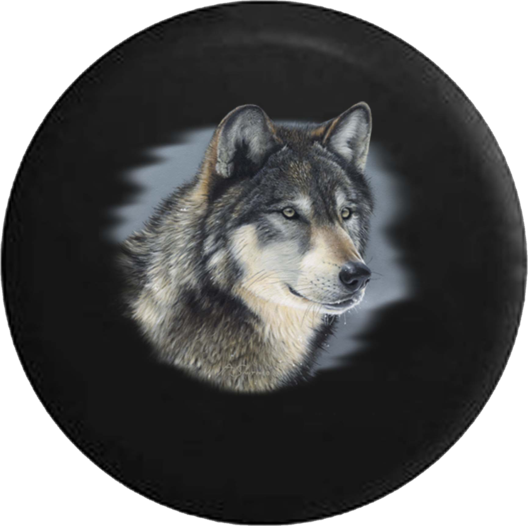 Distressed Worn American Flag Grunge Jeep Camper Spare - Wolf Portrait Canine Wolves Dog Wolflike Nature Love (1725x1718), Png Download