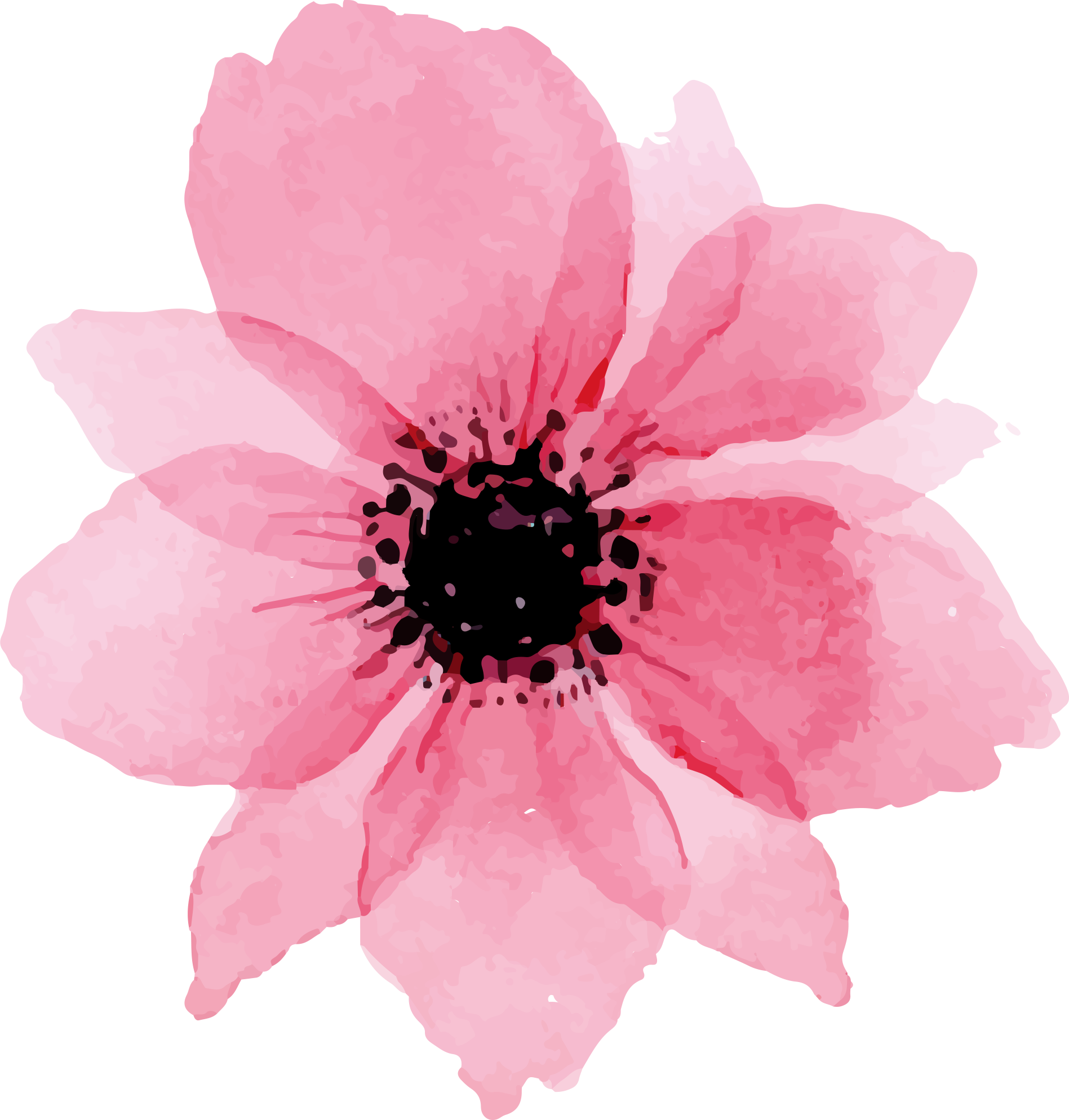 To Download Click The Following - Watercolor Floral Elements Png (1897x1989), Png Download
