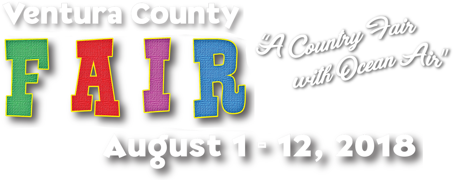 Exhibit Departments - Calligraphy (1586x629), Png Download