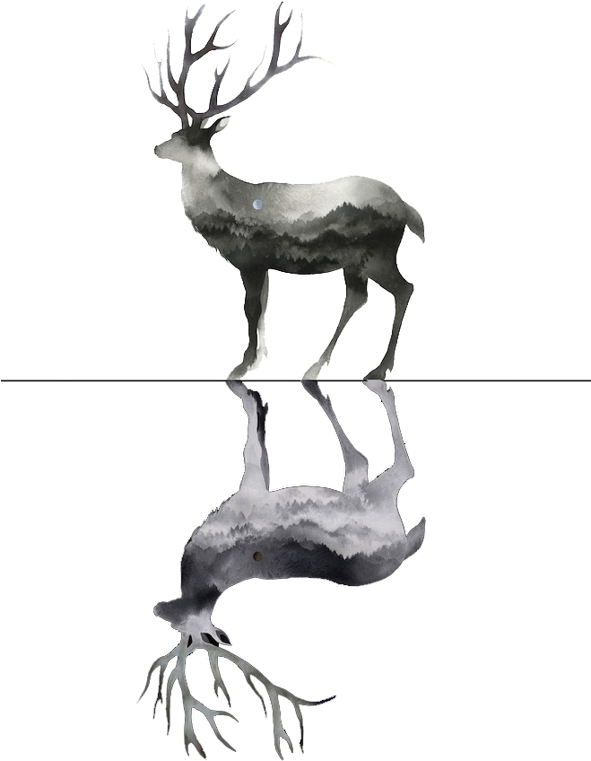 Tails Drawing Watercolor - 水彩 鹿 (658x935), Png Download