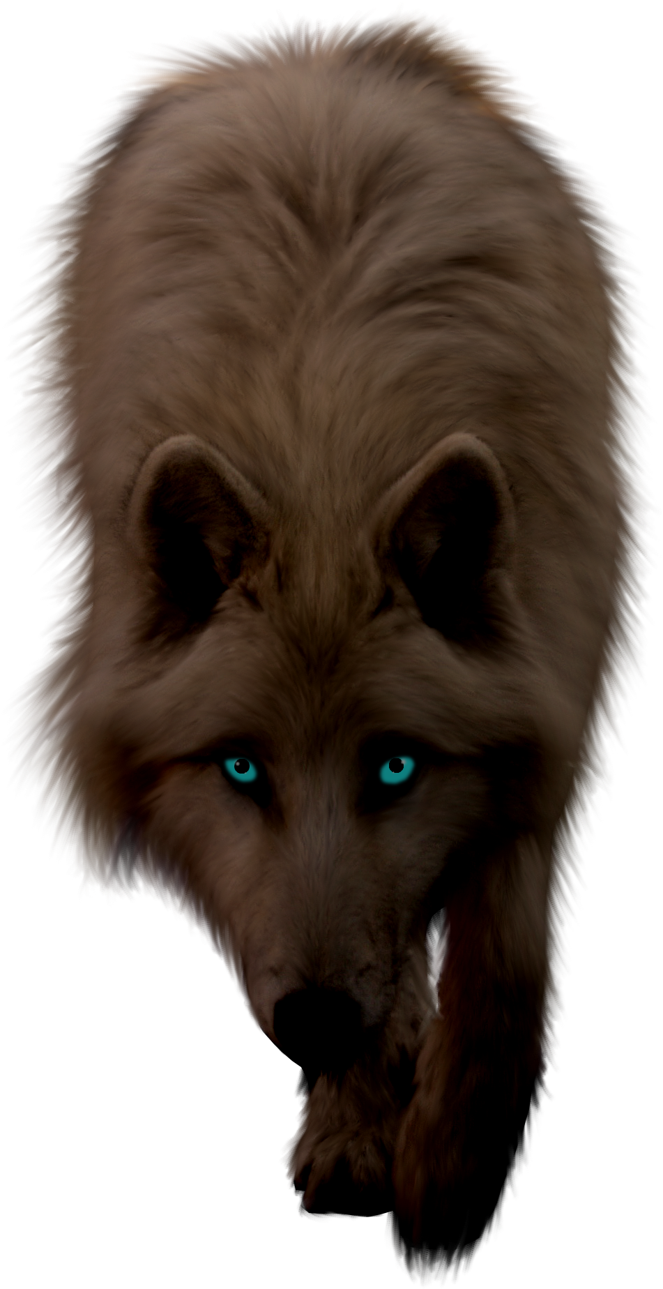 Brown Png By Itsdura - Animals In Png File (1296x1944), Png Download