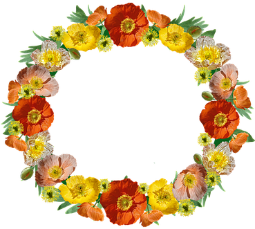 Wreath, Border, Poppies, Floral, Frame - Papaver Somniferum (368x340), Png Download