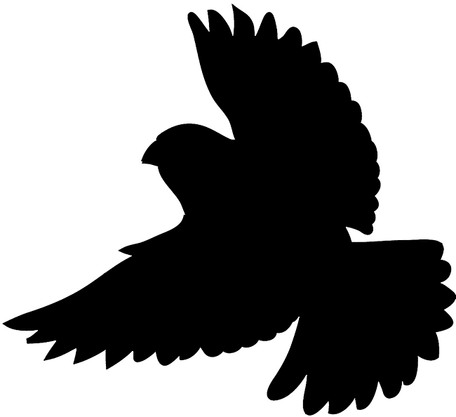 Silhouette Of Flying Bird - Bird Silhouette (650x594), Png Download