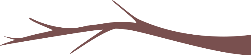 Tags Cloud - Wood (820x326), Png Download