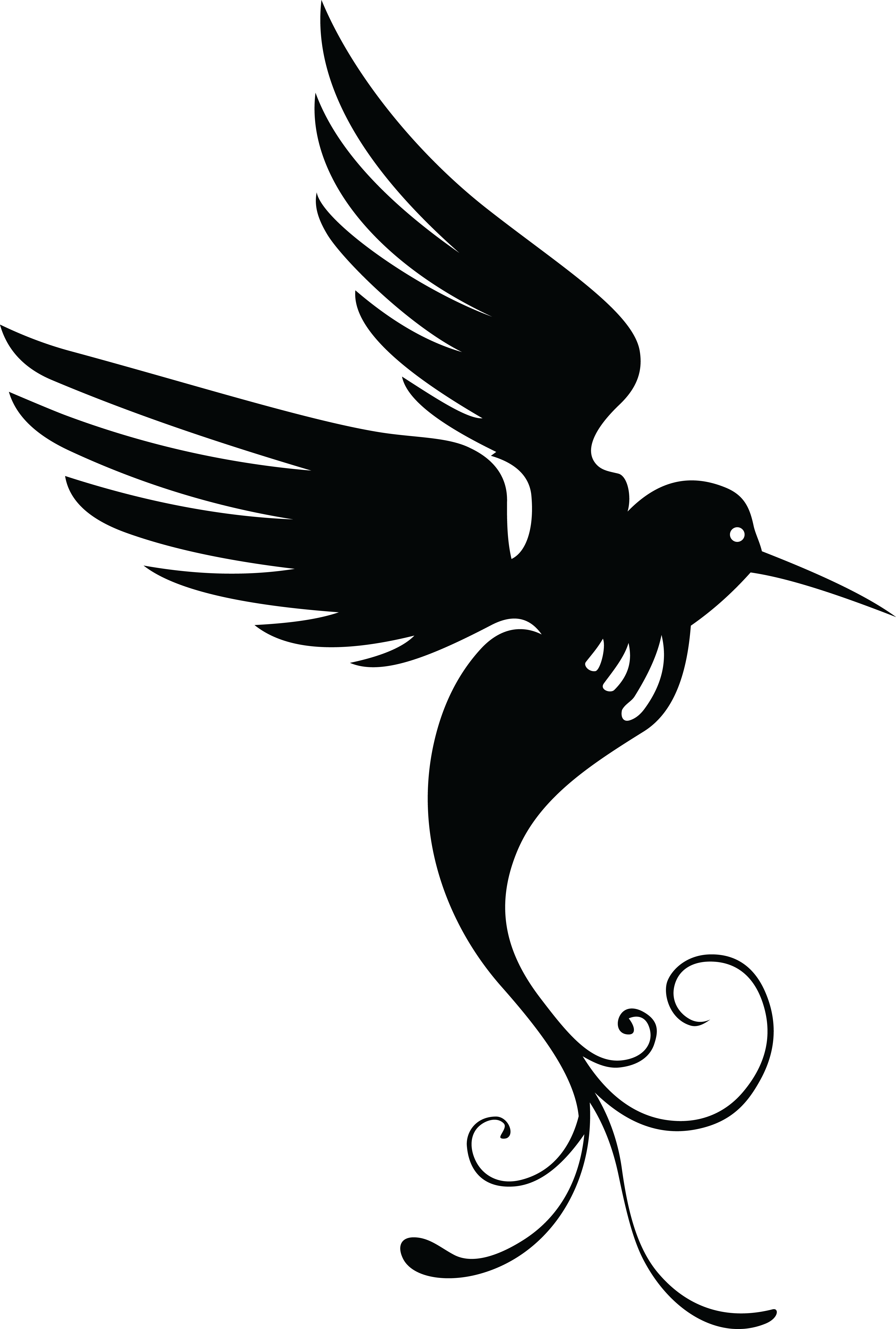 Big Image - Black And White Hummingbird Clipart (1548x2296), Png Download