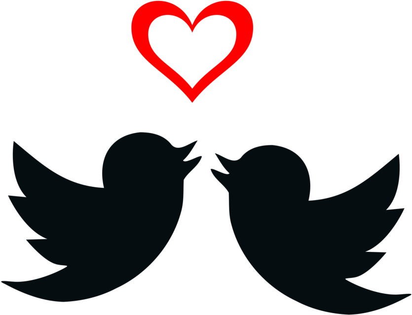 Clipart Transparent Love Birds Silhouette Clip Art - Two Love Birds Clipart (800x800), Png Download