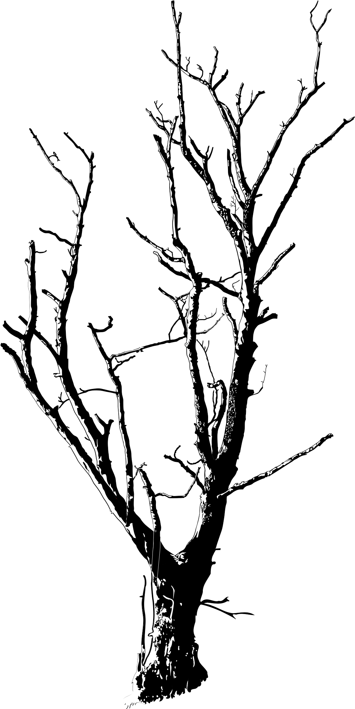 This Free Icons Png Design Of Dead Tree Detailed (1697x2400), Png Download