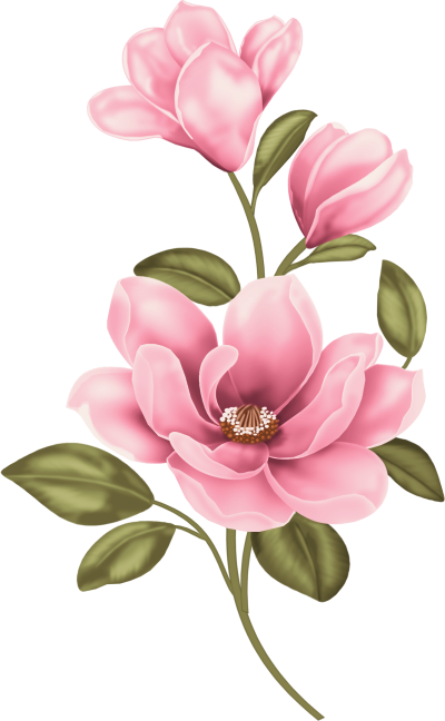 Pin By Bronislava Jarošová On K - Magnolia Clipart (400x648), Png Download