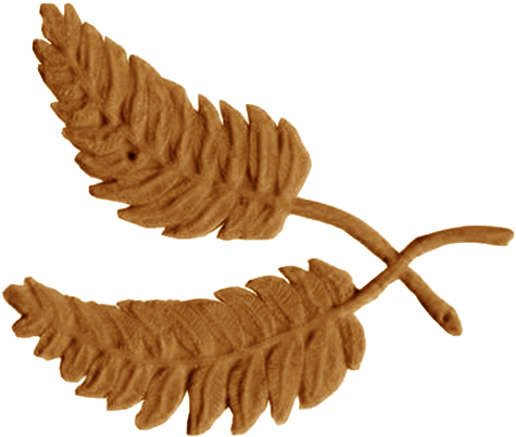 Ramas Cruzadas - Stamped Concrete (506x453), Png Download