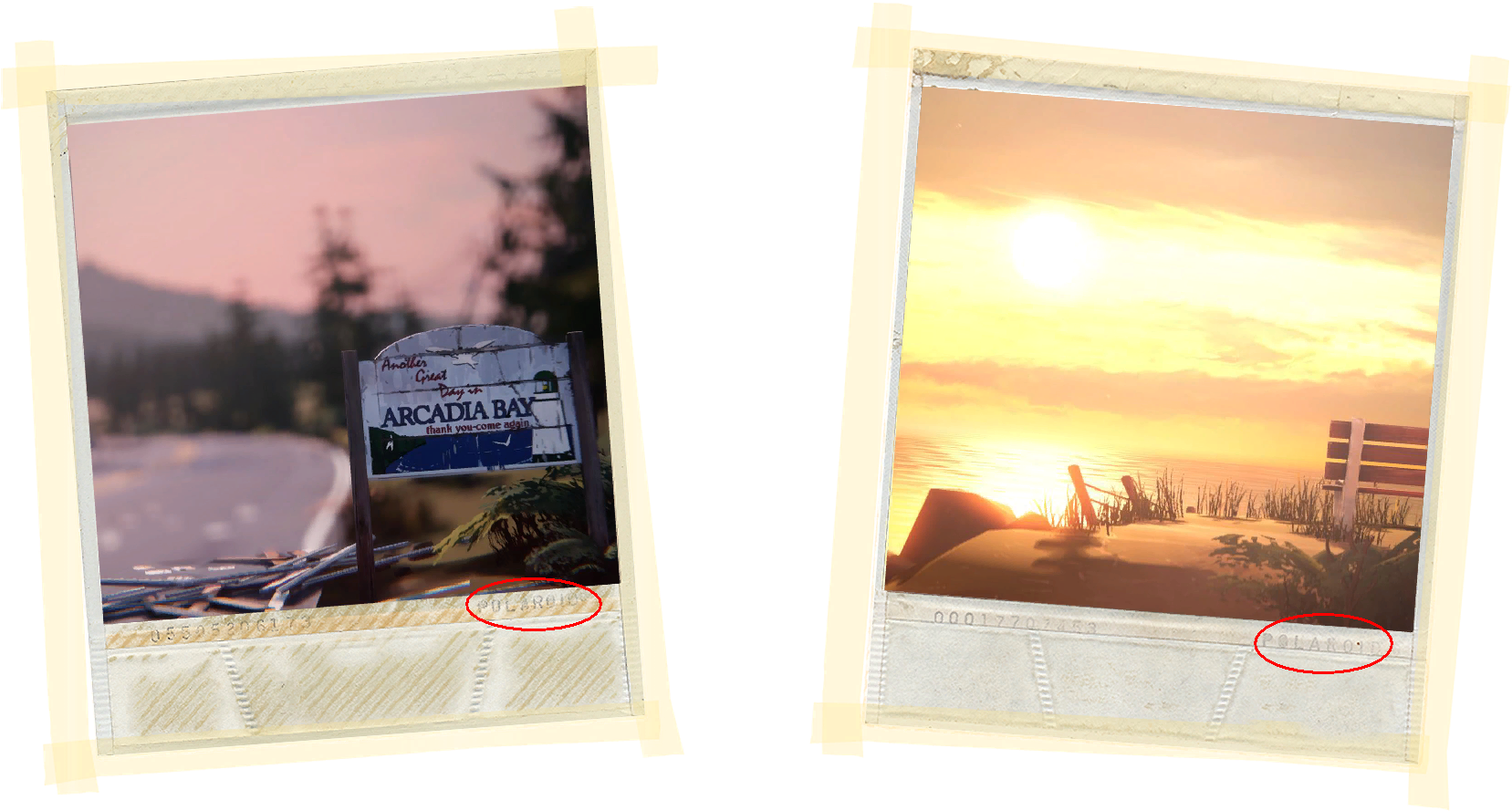 Polaroid - Life Is Strange Polaroid Png (1800x900), Png Download