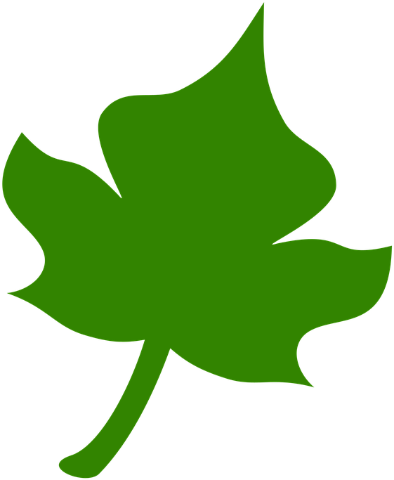Icon Leaf Green - Leaf (720x720), Png Download