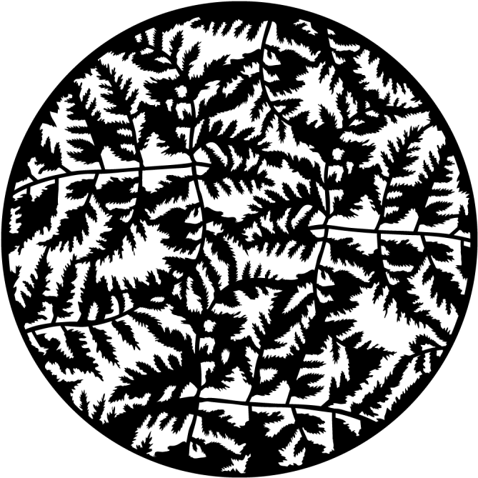 Foliage - Detail - Apollo Design 1083 Foliage Detail Steel Pattern (800x800), Png Download