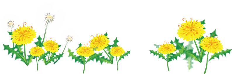 Res] Flower Border By Hanabell1 On Clipart Library - Yellow Flower Border Png (800x459), Png Download