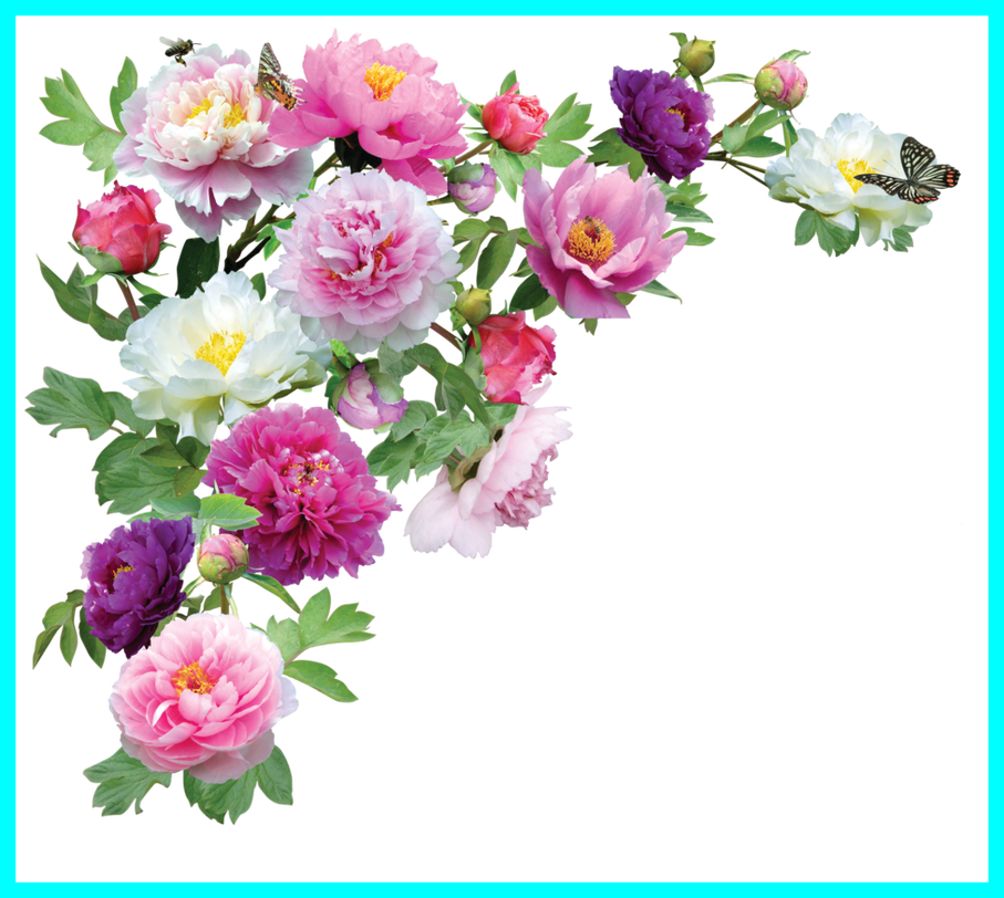 15 Flower Png For Free On Mbtskoudsalg - Ramo De Flores Png (907x812), Png Download