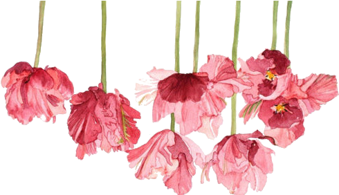 Flowers Png Tumblr - Moms Make Life Beautiful Tote Bag (500x281), Png Download