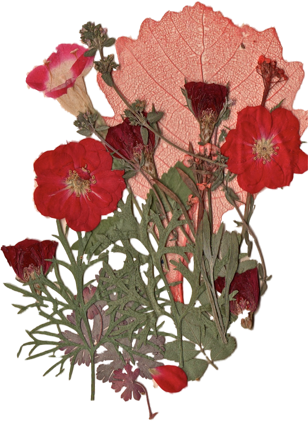 Report Abuse - Red Flowers Tumblr Png (1024x1428), Png Download
