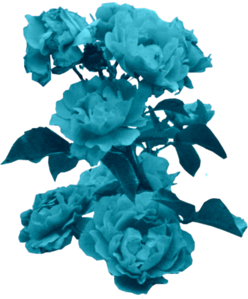 Tumblr Blue For Free Download On Mbtskoudsalg Png Transparent - Collage (499x601), Png Download