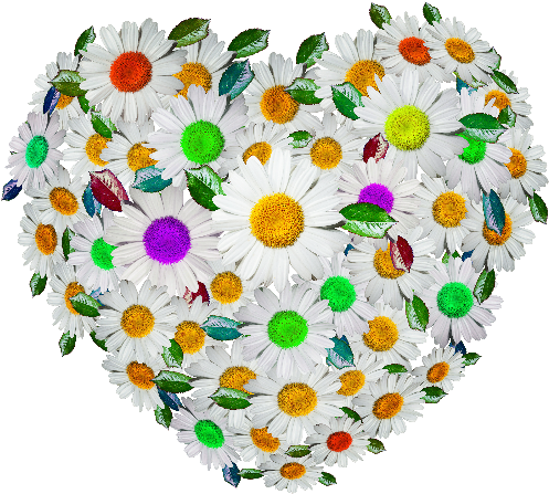 Cute Floral Heart Png Image - Circle (800x600), Png Download