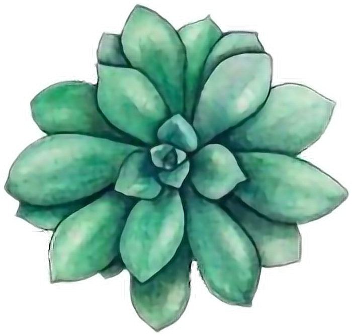 Tumblr Flower Garden Girly Cute Green Flowers Cactus - Succulent Stickers (700x668), Png Download