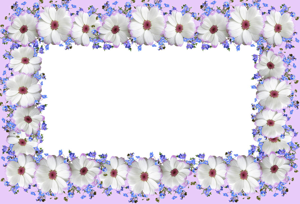 Frame, Border, Floral, Design - Greeting Card (960x652), Png Download