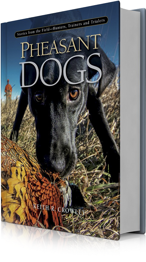 Pheasant Dogs - Dog (957x865), Png Download