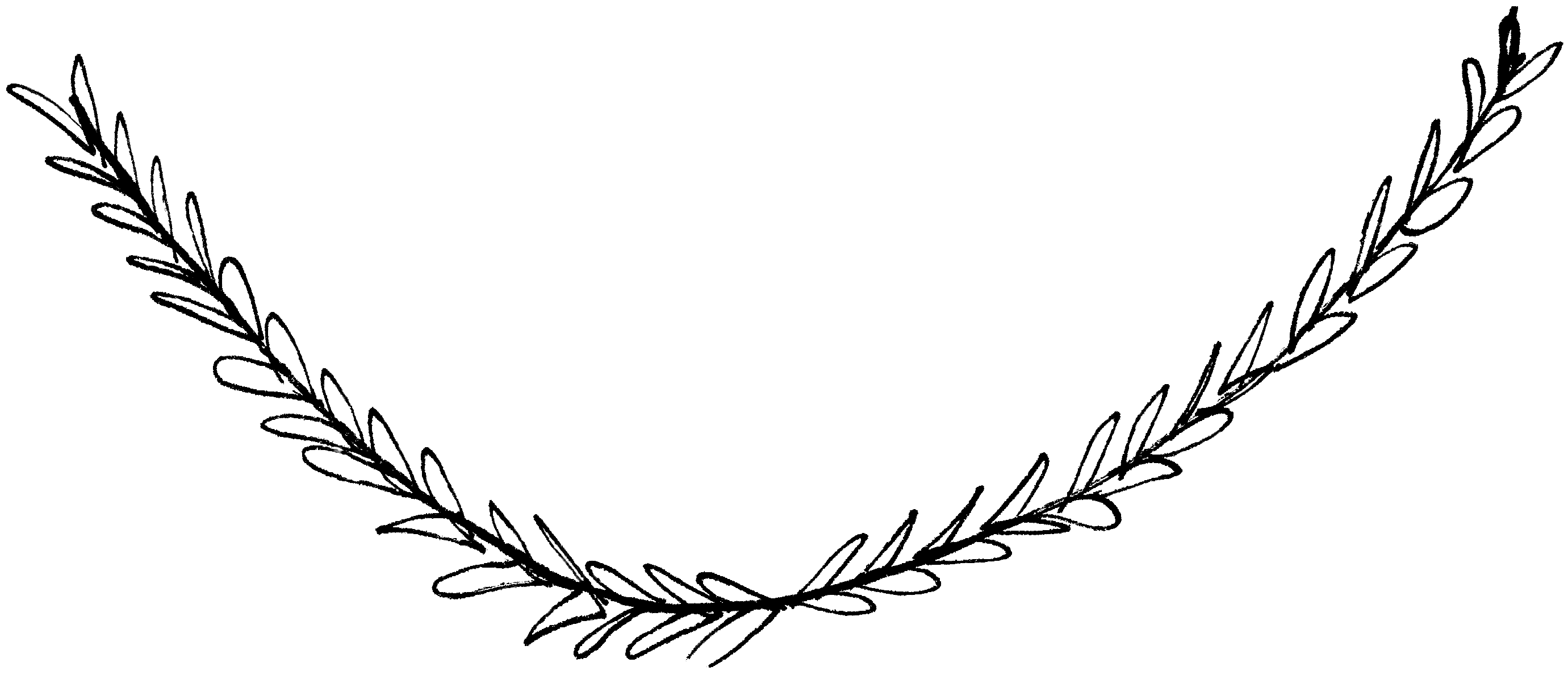 Free Hand Drawn Heart Flourish Clip Art - Hand Drawn Laurel Png (2864x1284), Png Download
