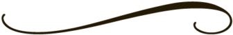 Simple Line Design Clipart Decorative Lines Png Clipart - Puma (370x370), Png Download