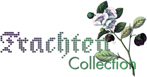 Trachtencollection Logo Transparent - Lookbook (1000x333), Png Download