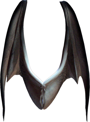 Wings Png - Yarasa Kanat Png (300x406), Png Download