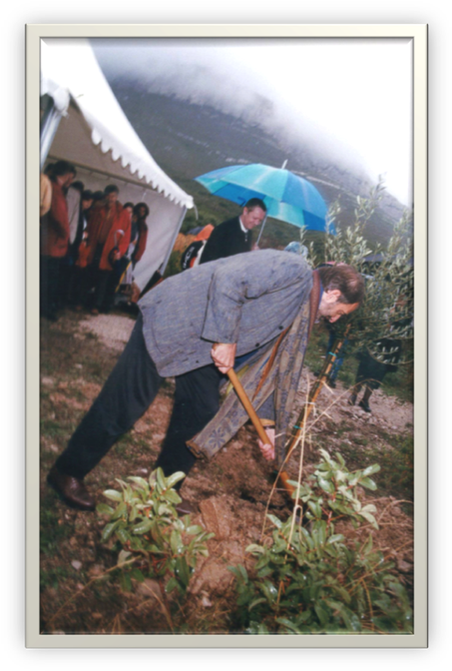 Laying The Foundation Stone Of Inmed With The Norwegian - Architect (467x685), Png Download