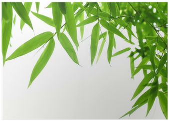 Wall Decal (400x400), Png Download