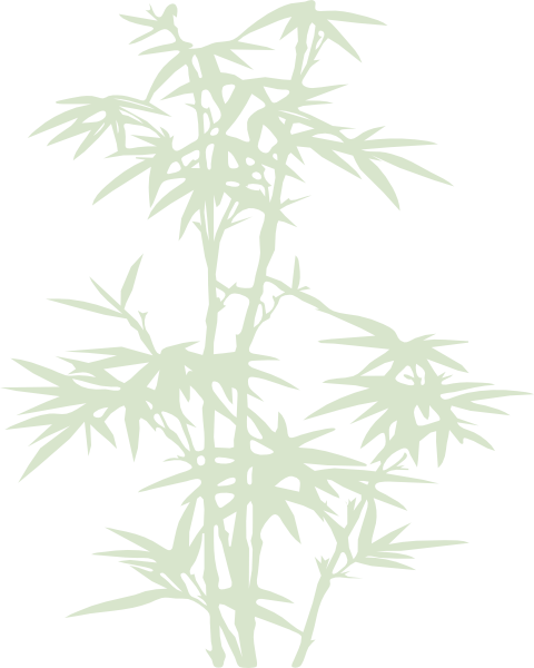 Bamboo Clip Art Transparent (480x600), Png Download