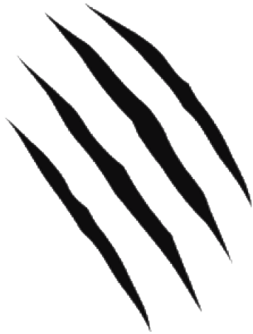 Scratches Clipart Transparent Background - Clip Art (640x480), Png Download