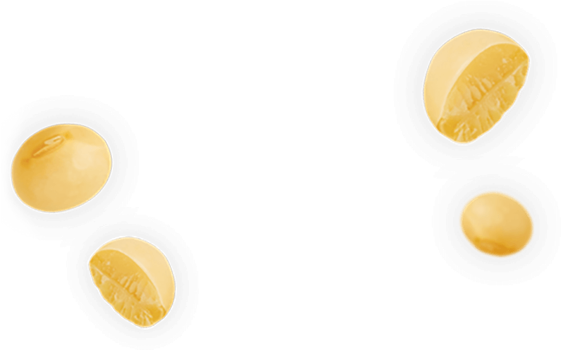 Coin (800x800), Png Download