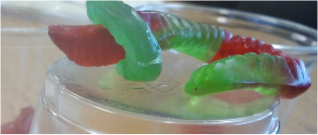This Was Taken By Me During A Science Lab Students - Punch (624x265), Png Download