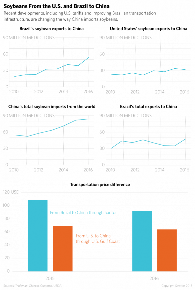 Soybeans From The U - Soybean (784x1162), Png Download